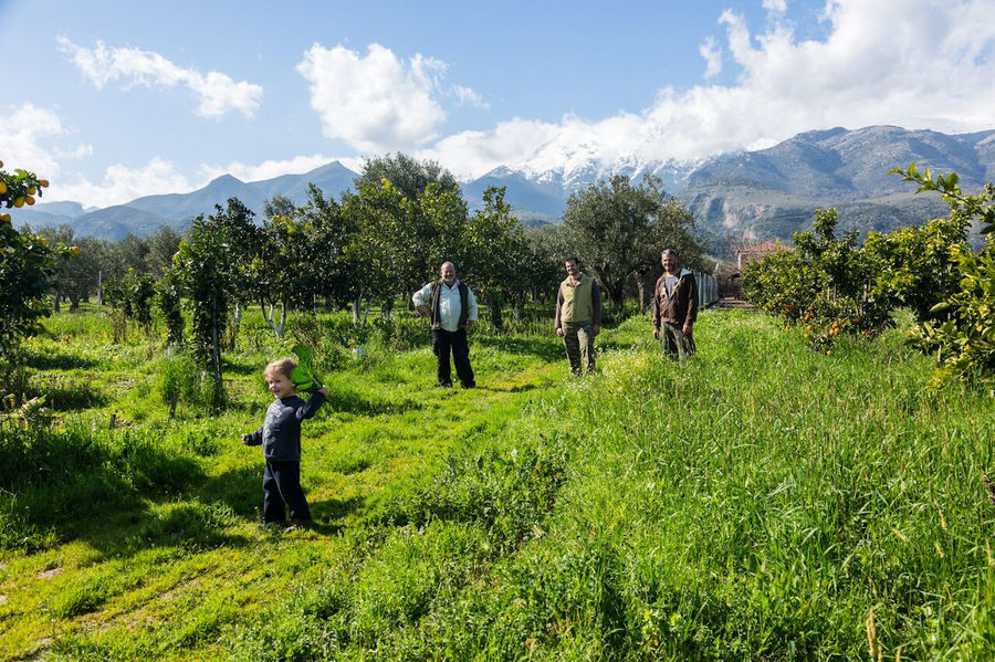 a litlle boy walking in high green grass and three men waching him at 'Ktima Golemi'